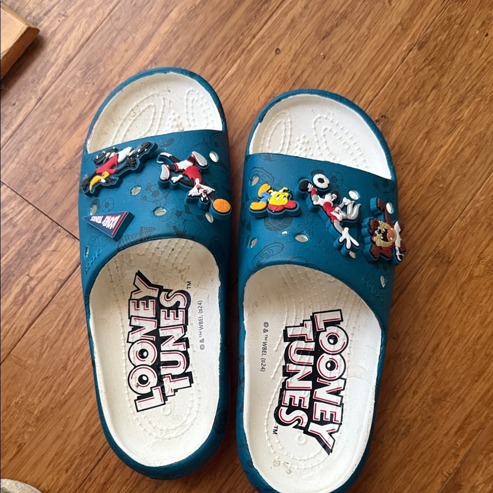 Looney tunes crocs slides